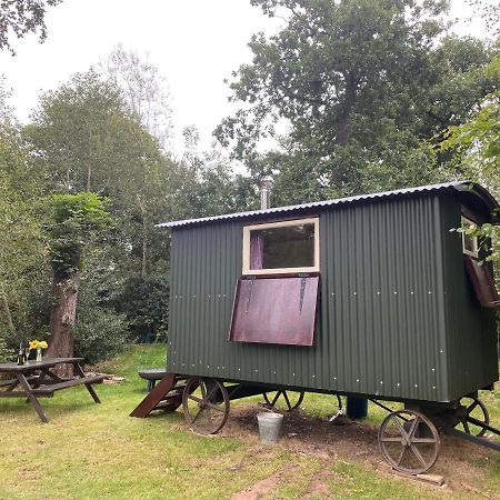 Baddiley The Shepherd'S Hut - Wild Escapes Wrenbury Off Grid Glamping - Ages 12 And Over מראה חיצוני תמונה