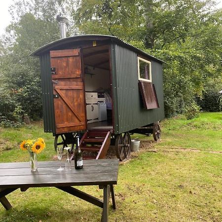 Baddiley The Shepherd'S Hut - Wild Escapes Wrenbury Off Grid Glamping - Ages 12 And Over מראה חיצוני תמונה