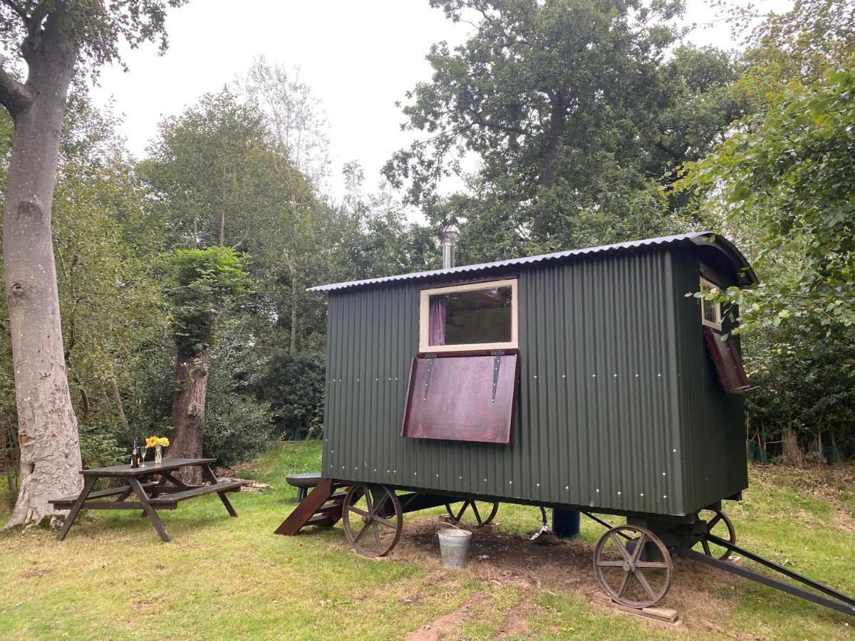 Baddiley The Shepherd'S Hut - Wild Escapes Wrenbury Off Grid Glamping - Ages 12 And Over מראה חיצוני תמונה