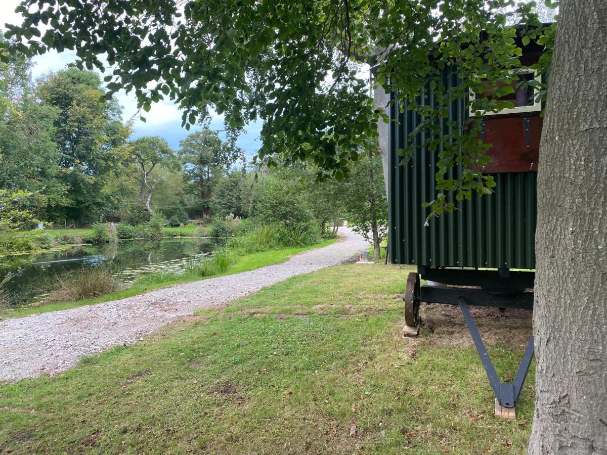 Baddiley The Shepherd'S Hut - Wild Escapes Wrenbury Off Grid Glamping - Ages 12 And Over מראה חיצוני תמונה
