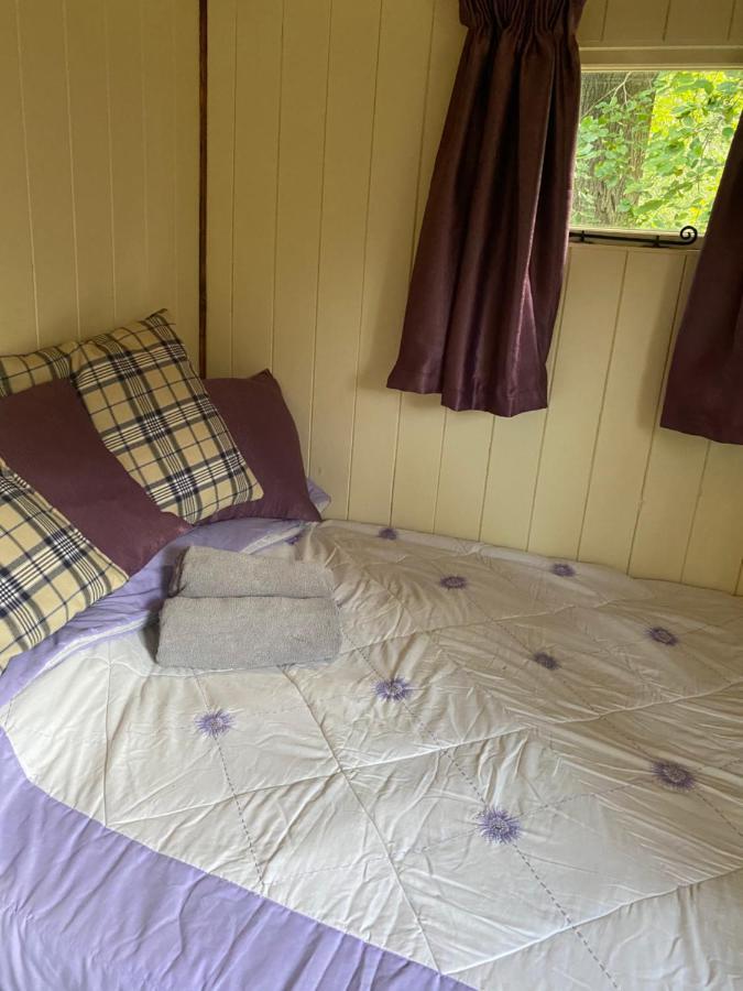 Baddiley The Shepherd'S Hut - Wild Escapes Wrenbury Off Grid Glamping - Ages 12 And Over מראה חיצוני תמונה