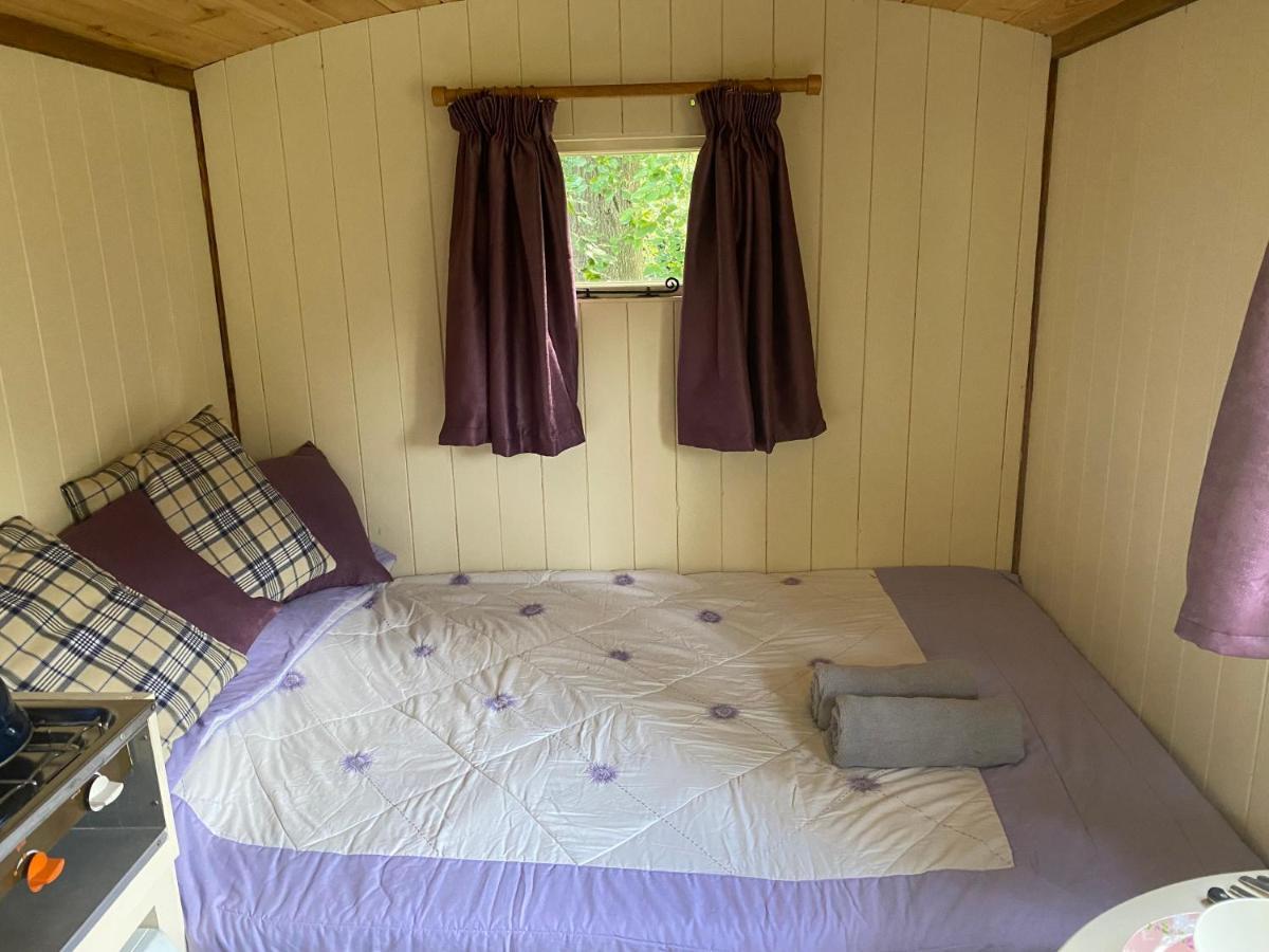 Baddiley The Shepherd'S Hut - Wild Escapes Wrenbury Off Grid Glamping - Ages 12 And Over מראה חיצוני תמונה
