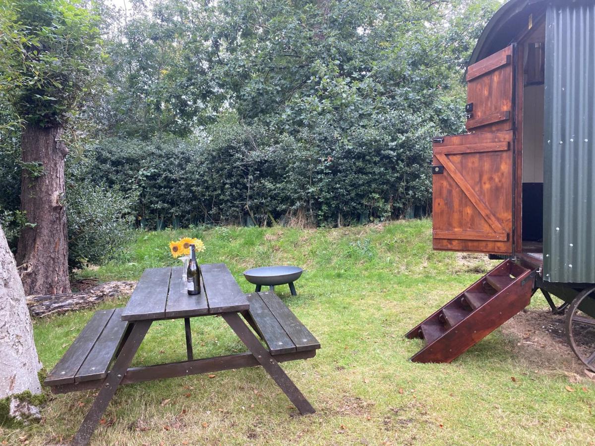 Baddiley The Shepherd'S Hut - Wild Escapes Wrenbury Off Grid Glamping - Ages 12 And Over מראה חיצוני תמונה
